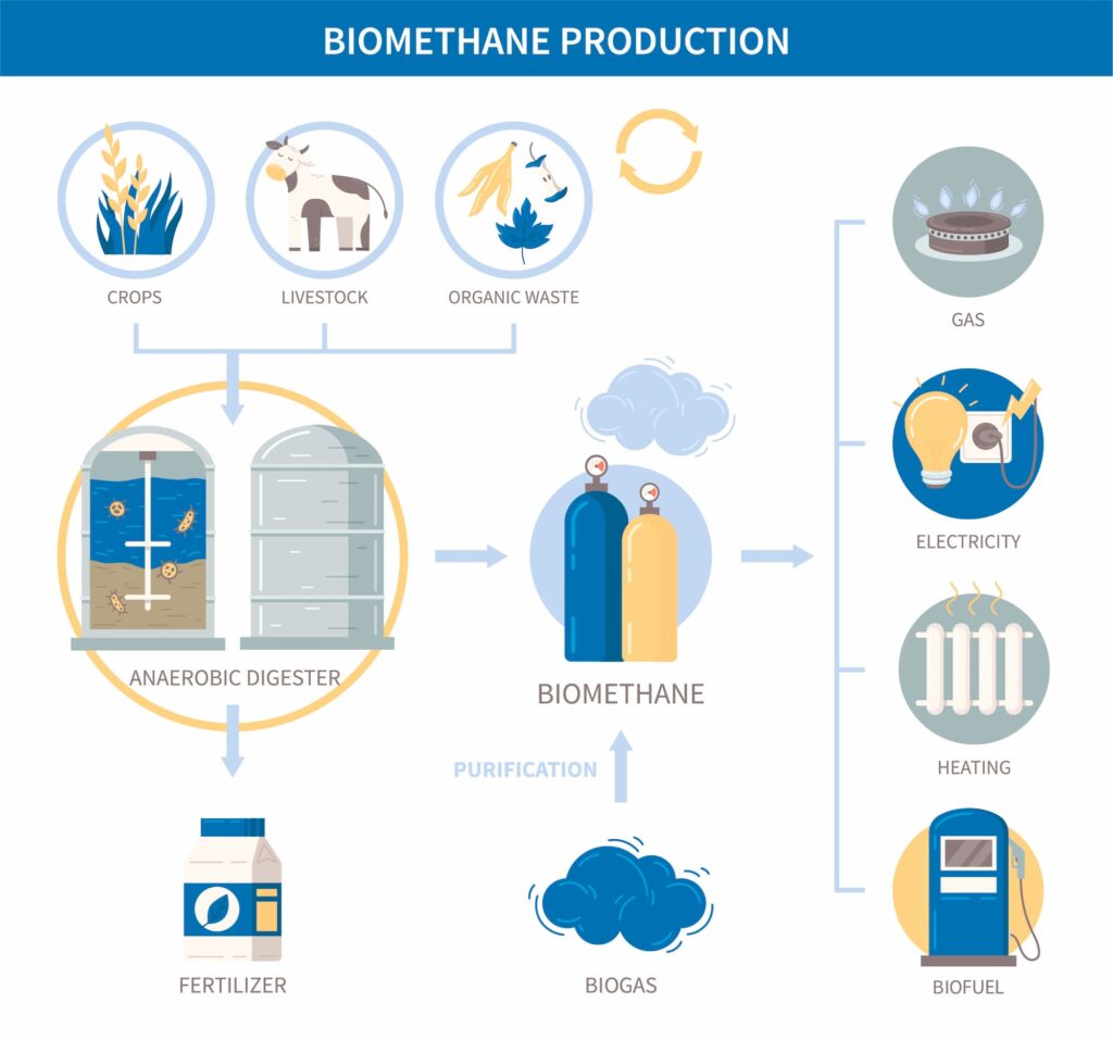 biogas production step