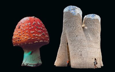 Revolutionary Sustainable Materials: Mycelium for the Ecological Transition
