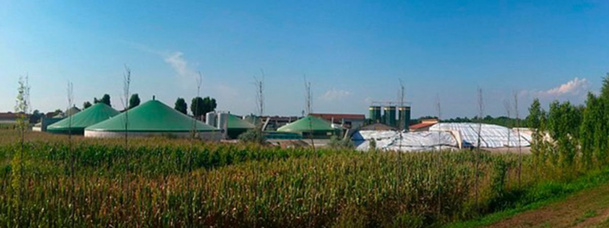 The future of biogas: hydrogen and new frontiers