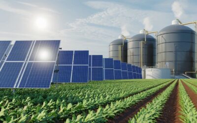 Énergie solaire + biogaz : opportunités hybrides pour le secteur agricole